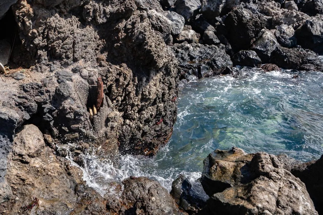 Villa Breath-Taking Views On The First Line Of The Ocean Santa Cruz de Tenerife 0*,